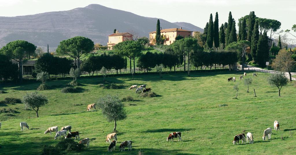 Poggiovalle Tenuta Italiana Belvedere  Bagian luar foto